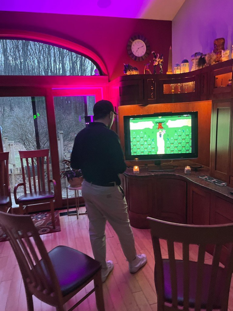 Playing VYCE on a TV at home